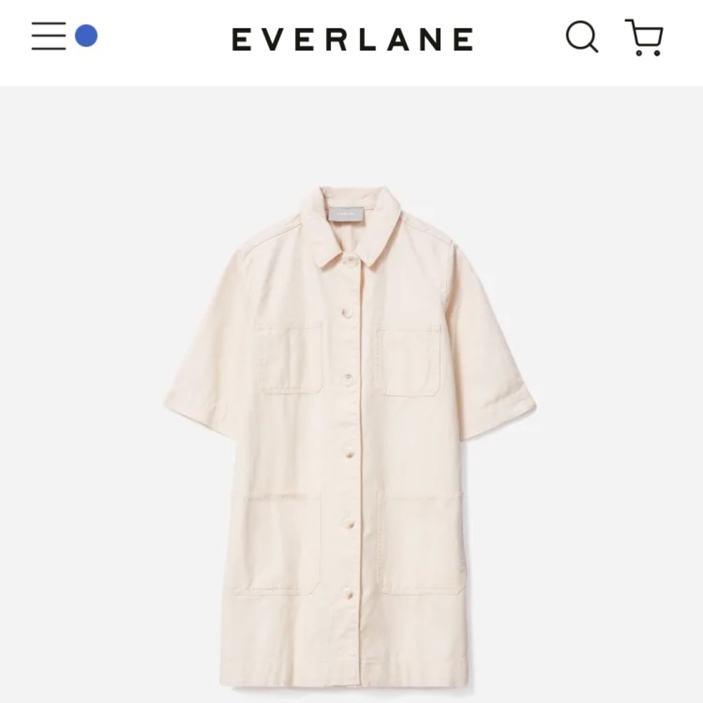 Everlane Chore Dress NWT